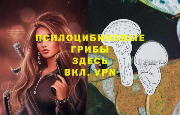 COCAINE Щигры