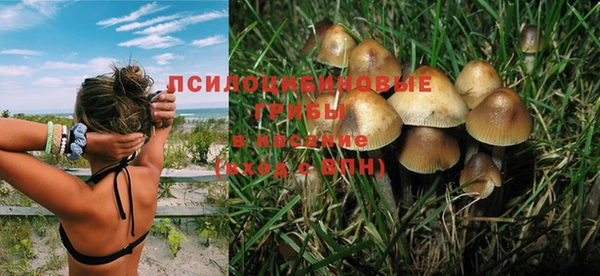 меф Дмитриев