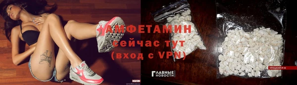 меф Дмитриев