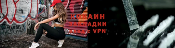 меф Дмитриев