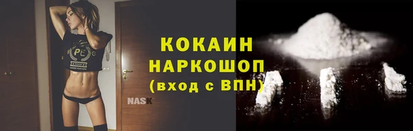 меф Дмитриев