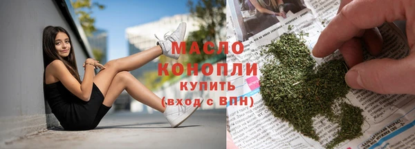 меф Дмитриев
